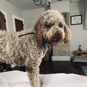 Meet your Posher, Quinn